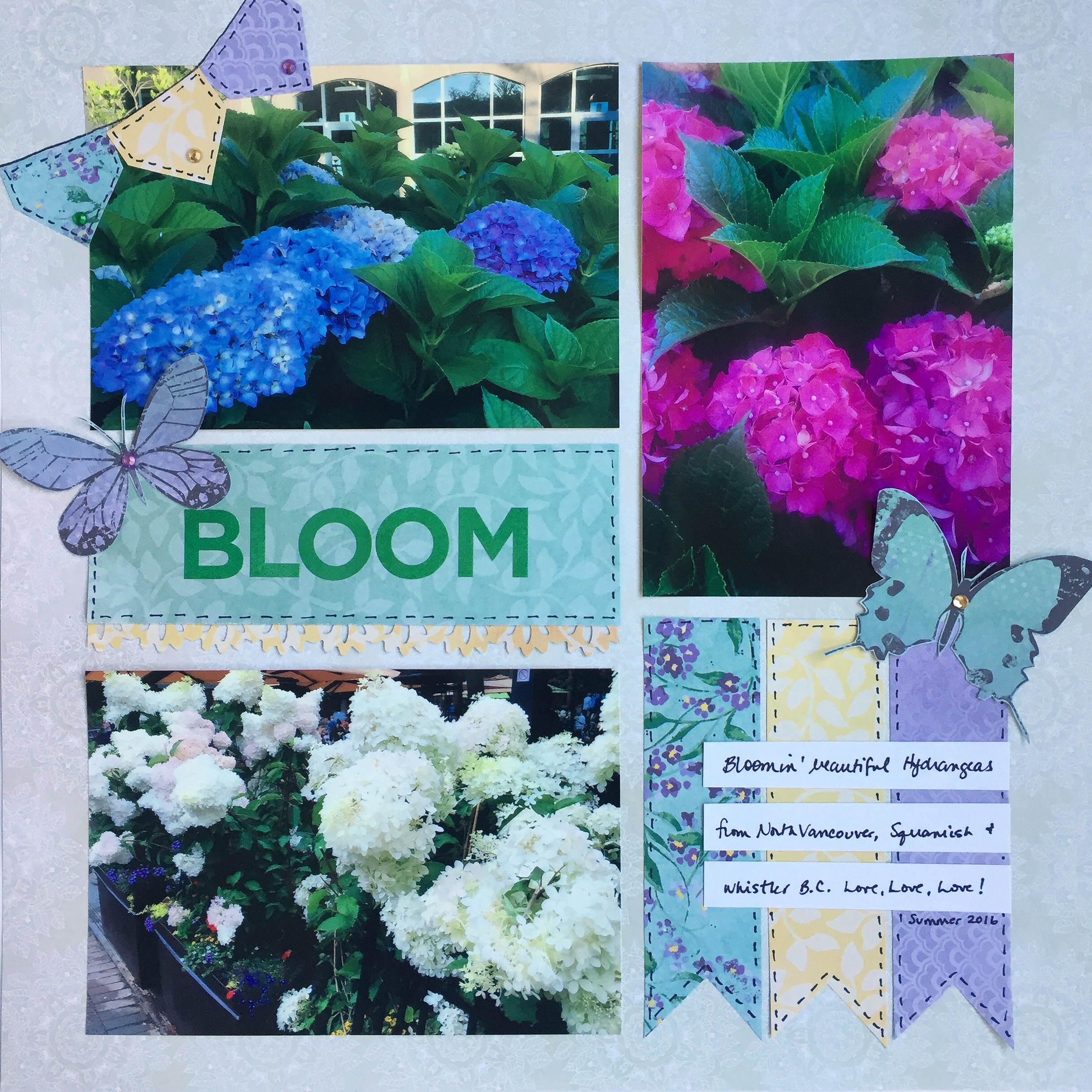 bloom 6