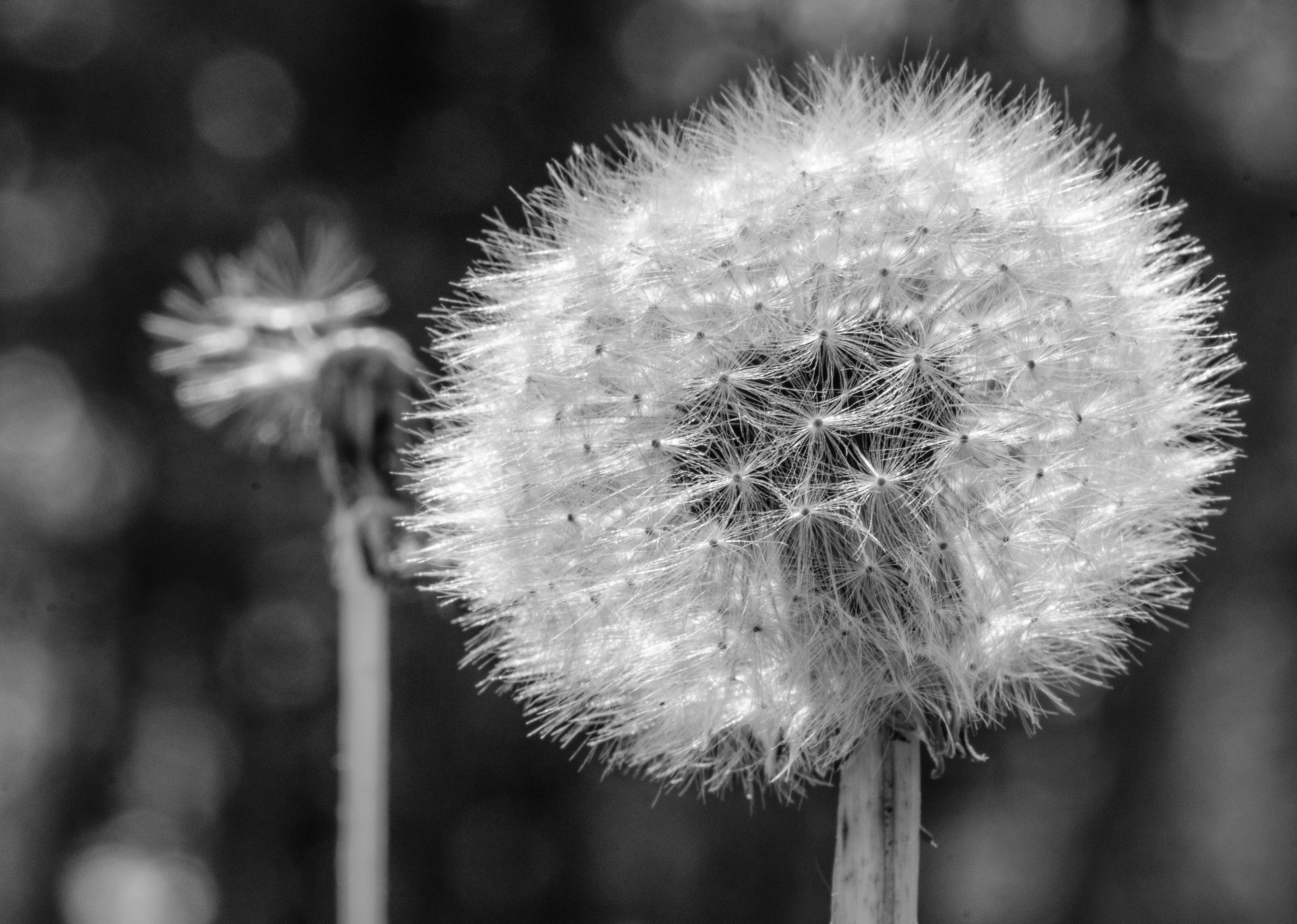 untitled-5869
