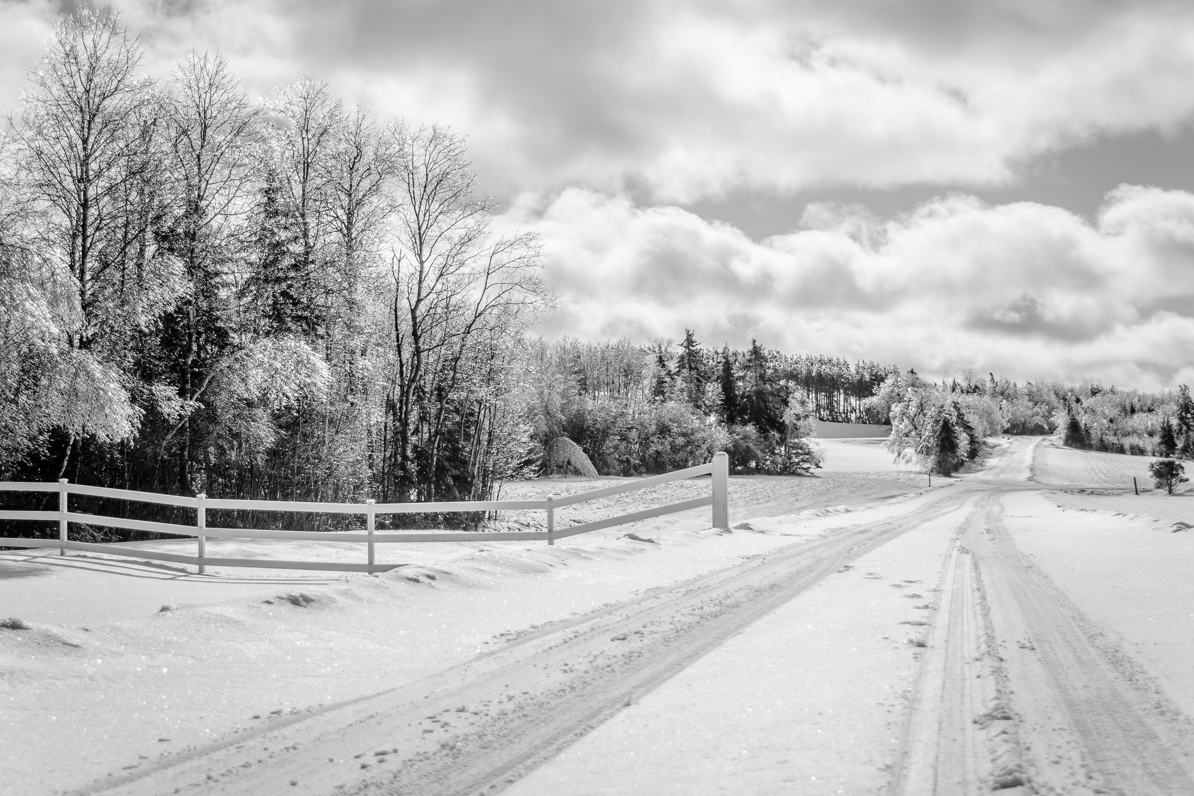 untitled-7642-2