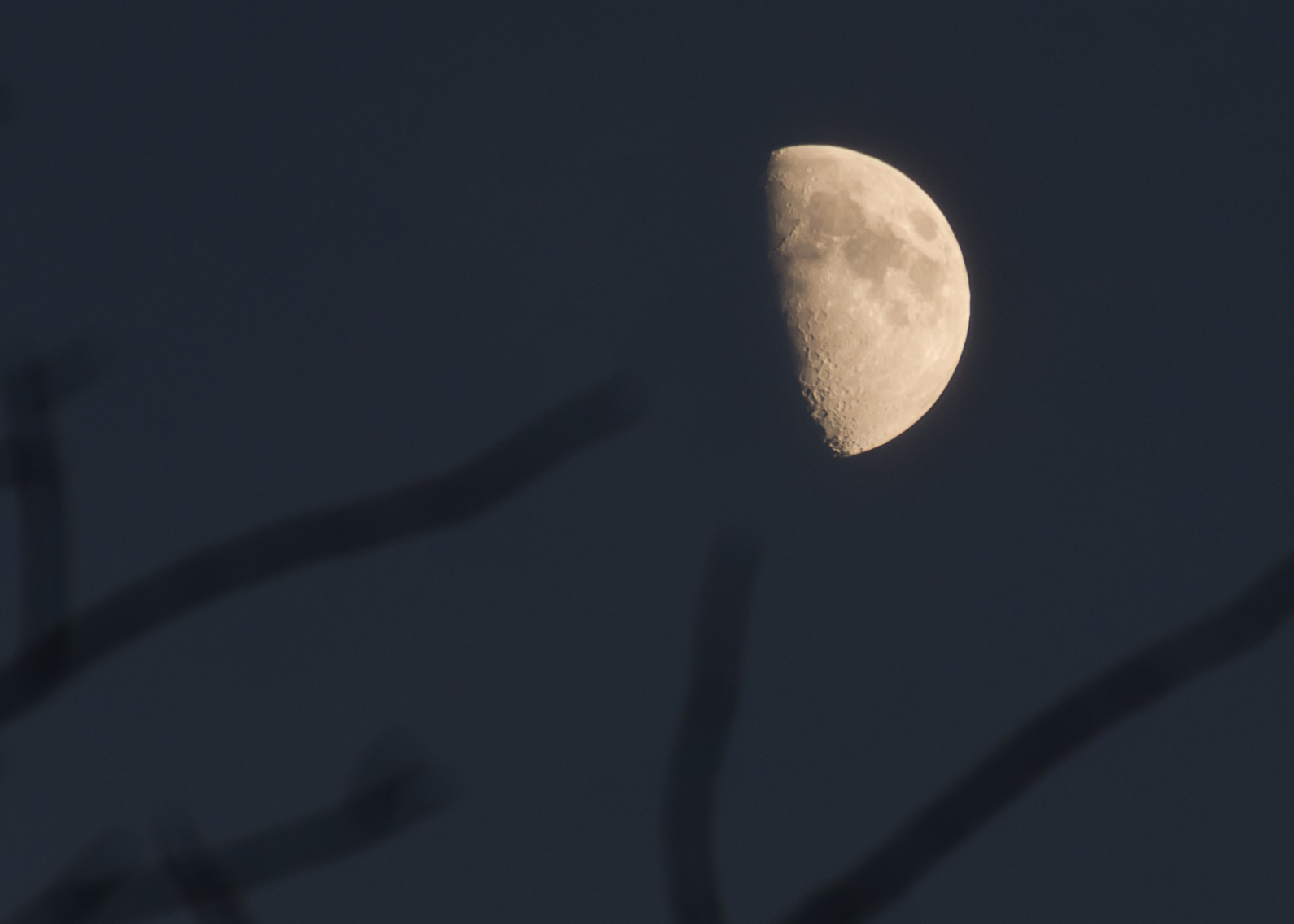 untitled-0443-2
