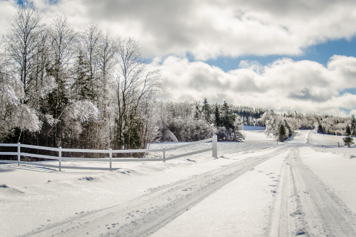 Winter Photo Tips