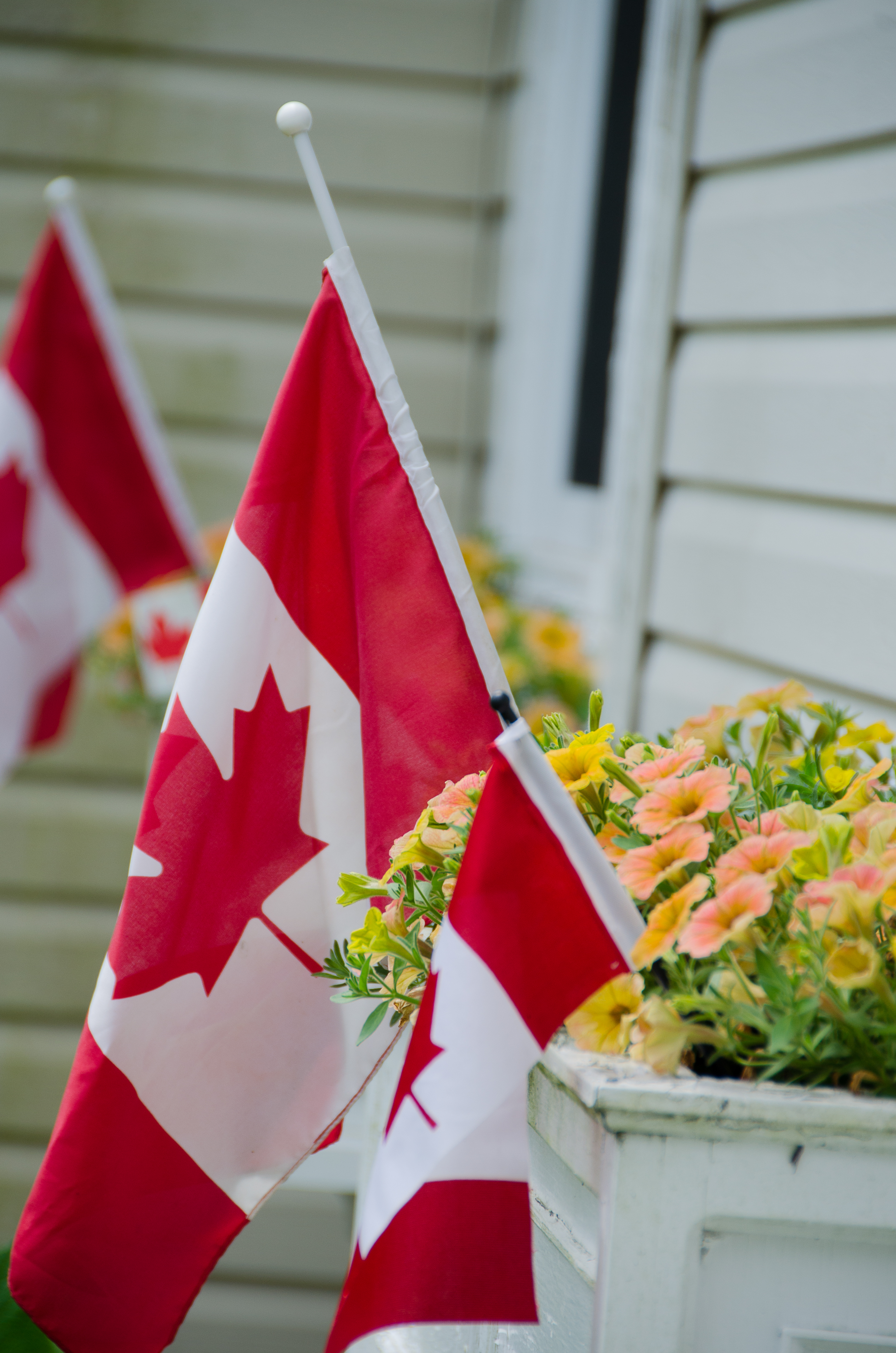 untitled-8118