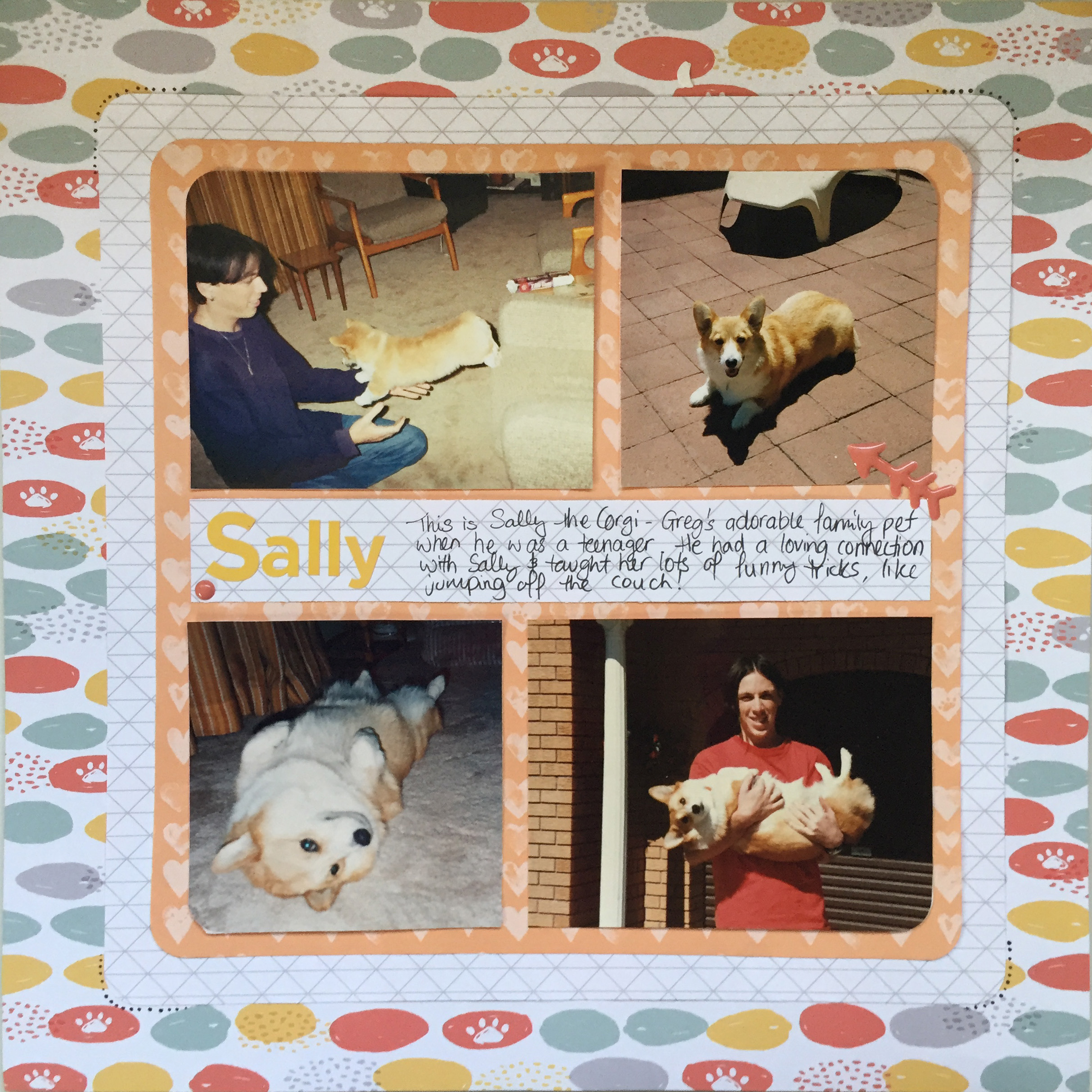 SallytheCorgi