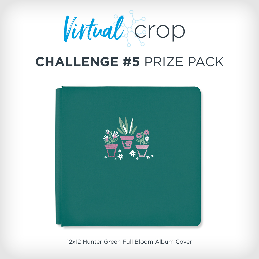 VirtualCrop_Prize5