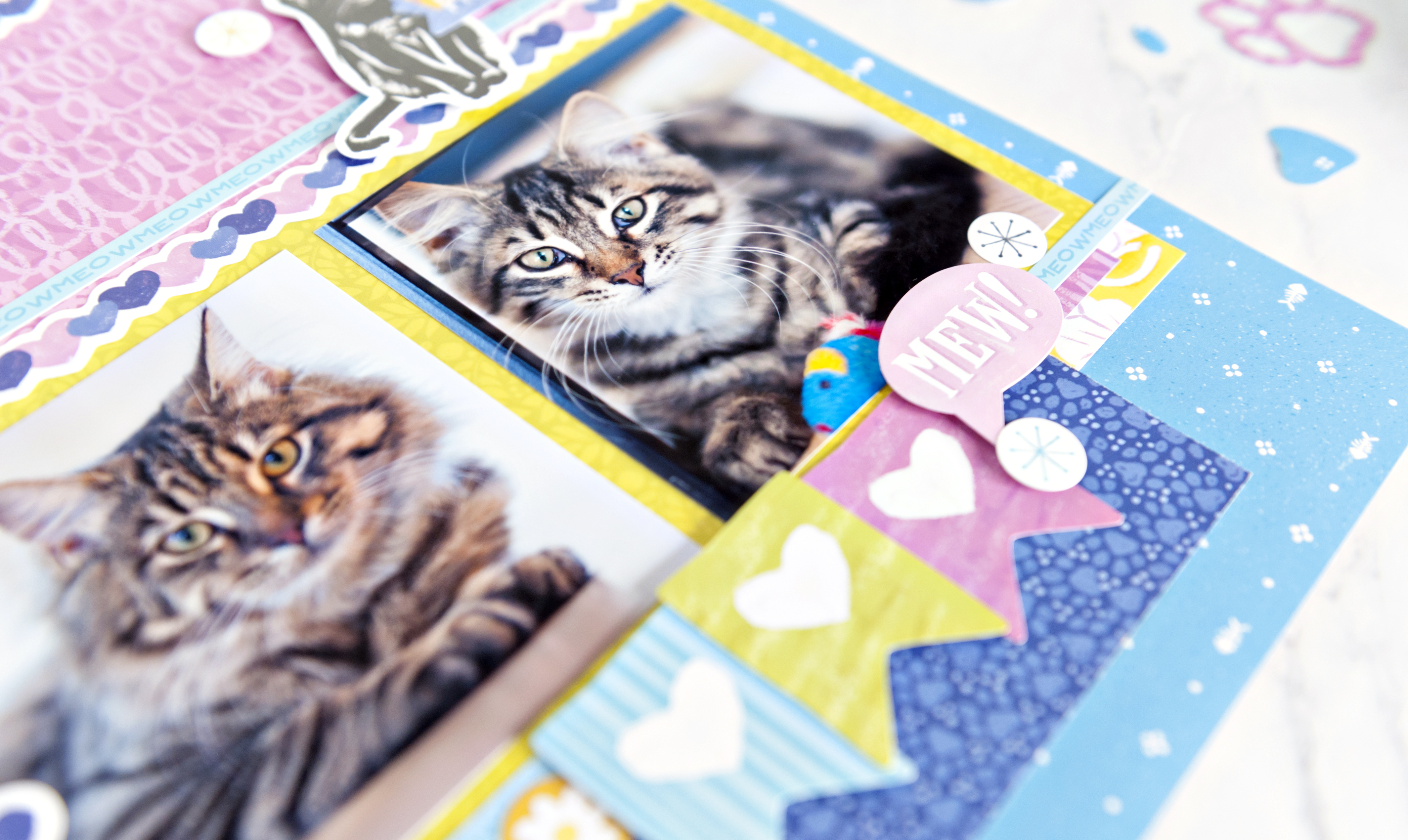 Best-In-Show-Feature-Friday-Creative-Memories8