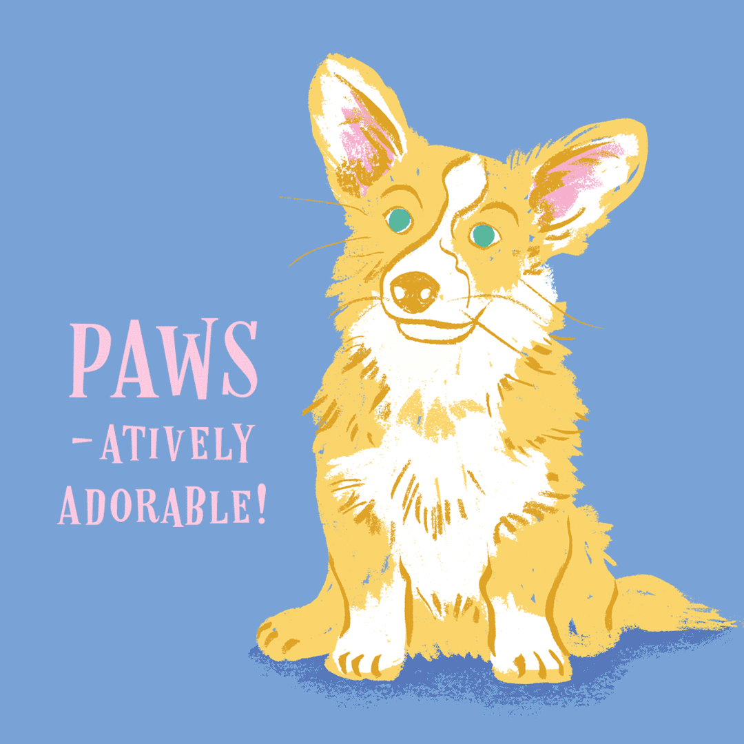 Corgi-Creative-Memories-Best-In-Show