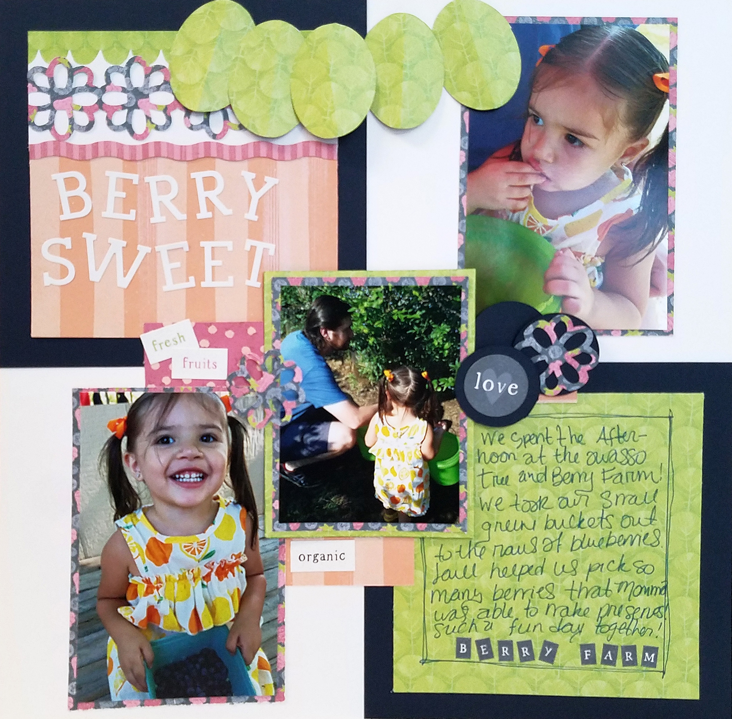 Locally-Grown-Scrapbook-Project-Creative-Memories14