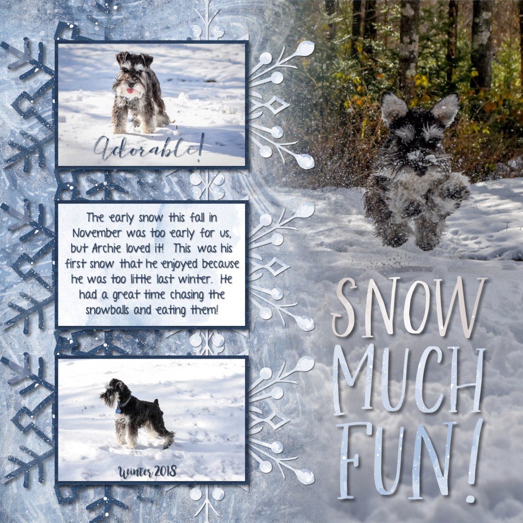 Have SNOW Much Fun with this Frost Winter Digital Scrapbook Layout