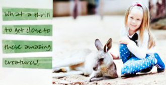 Walkabout-Layout-Creative-Memories2.jpg