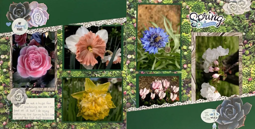 NSD 2020 Worldwide Virtual Crop: Challenge #7