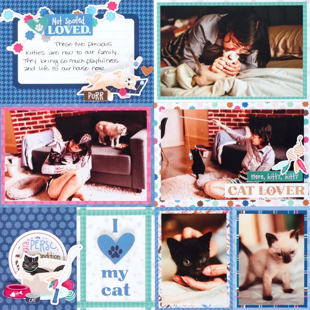 Cat-themed layout.