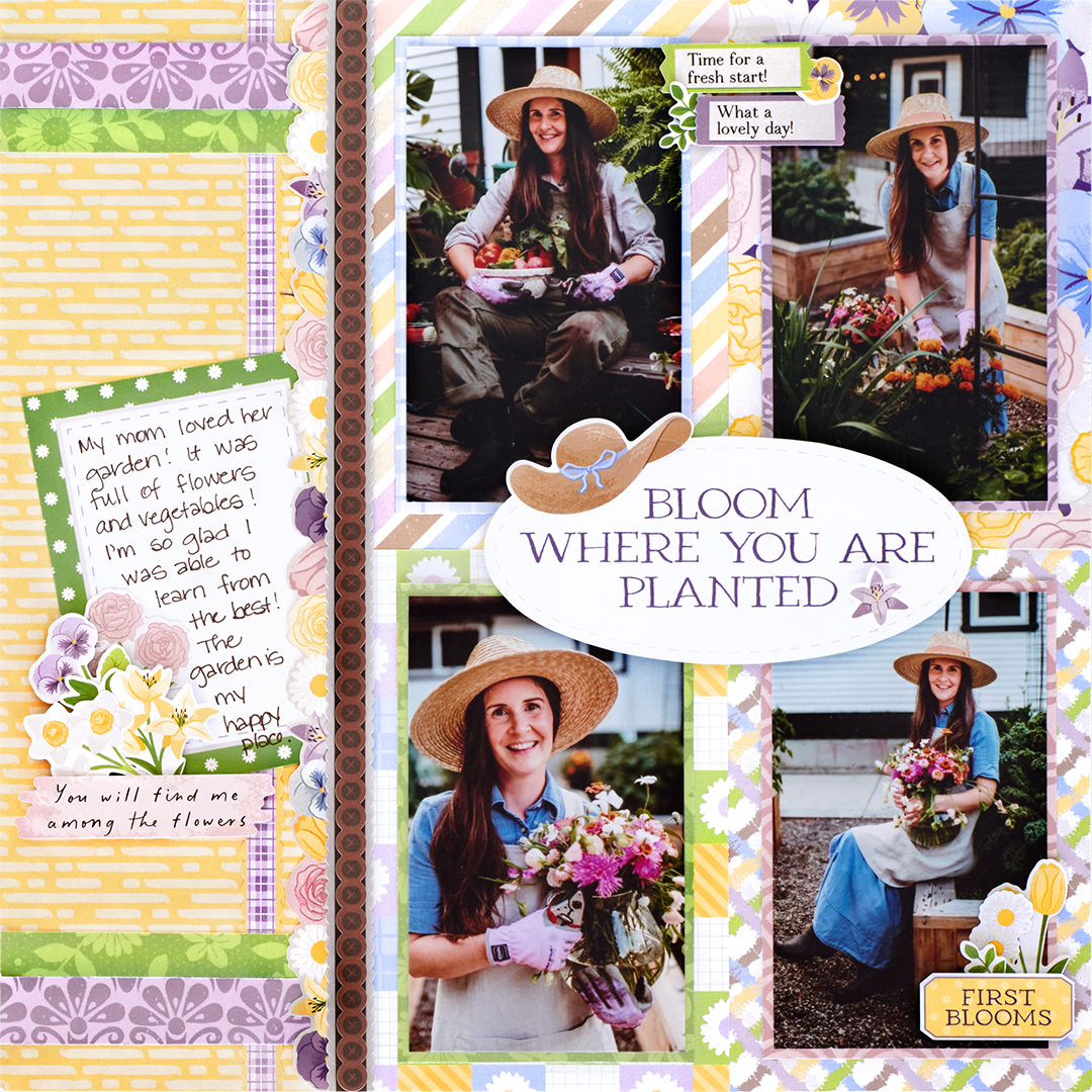 spring layout
