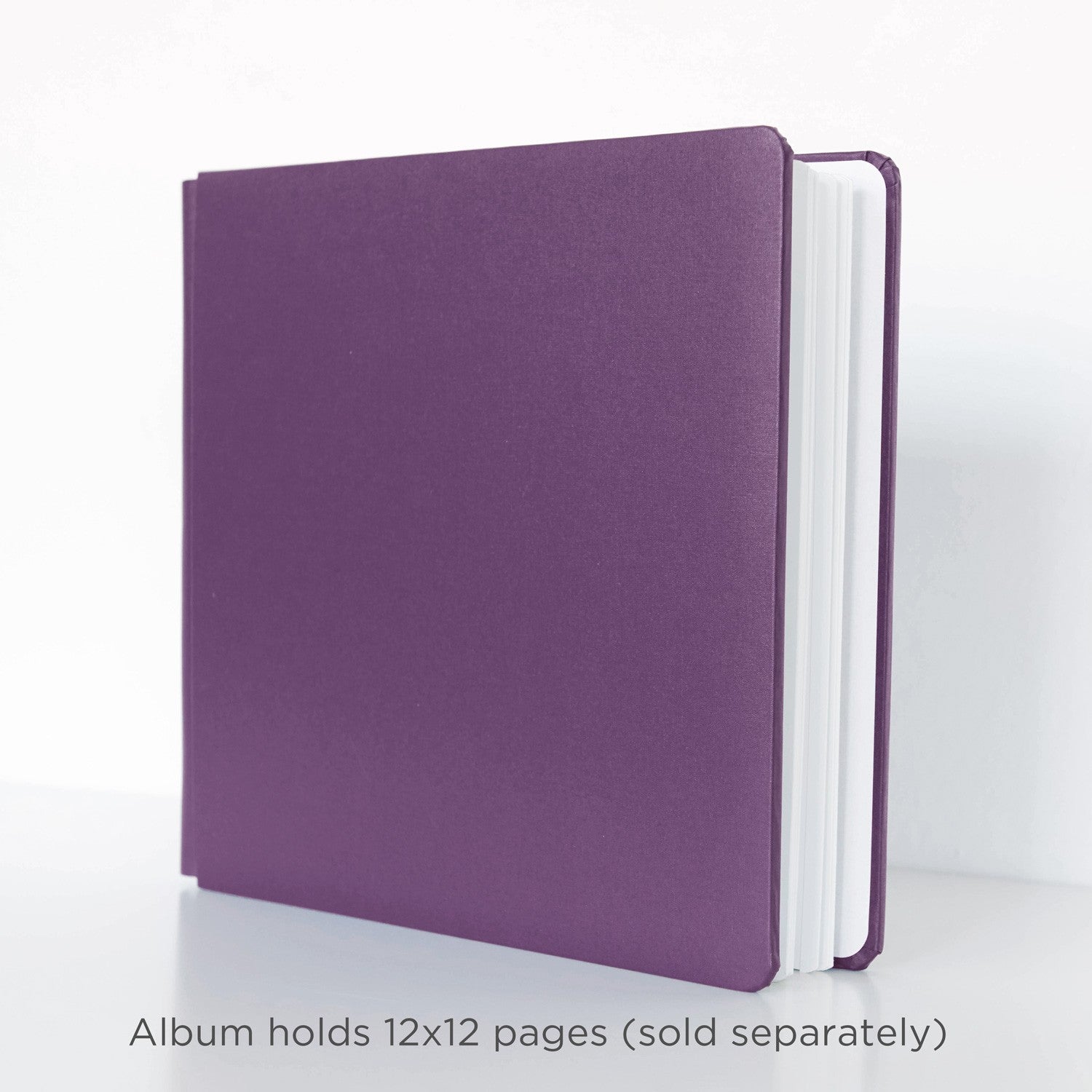 Creative Memories アルバムカバー ウルトラバイオレット 2冊 Amazon.com: Creative Memories 12x12 Grape Purple Rainbow Rush
