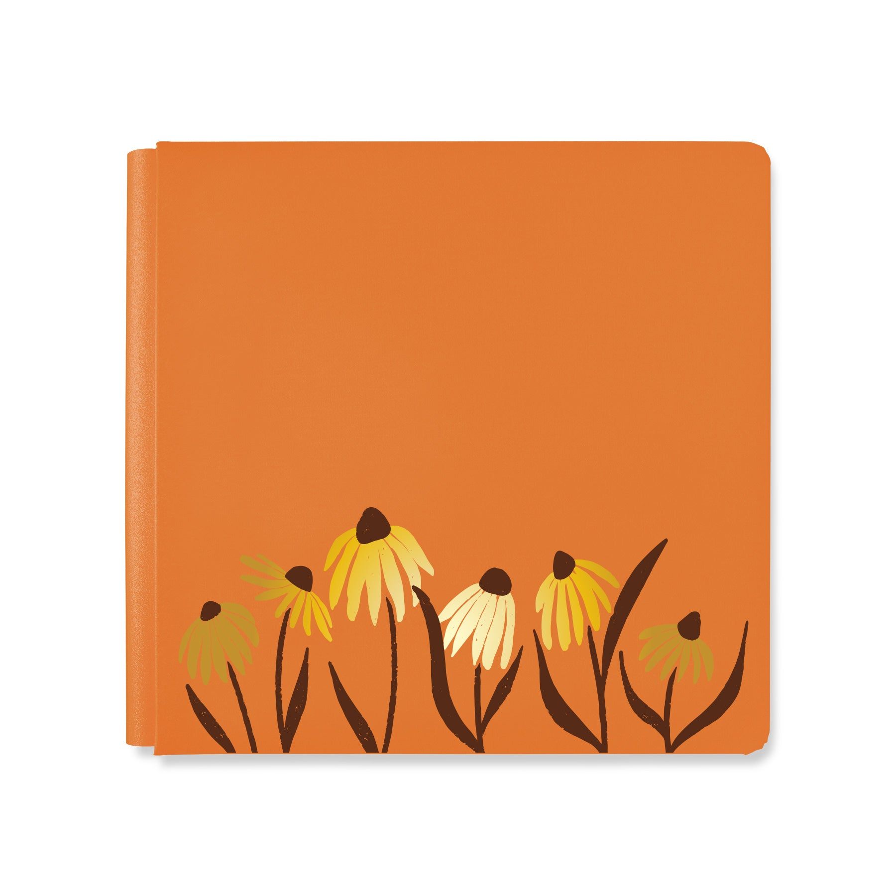 New Arrivals – Latest Scrapbooking & Memory Keeping Products by