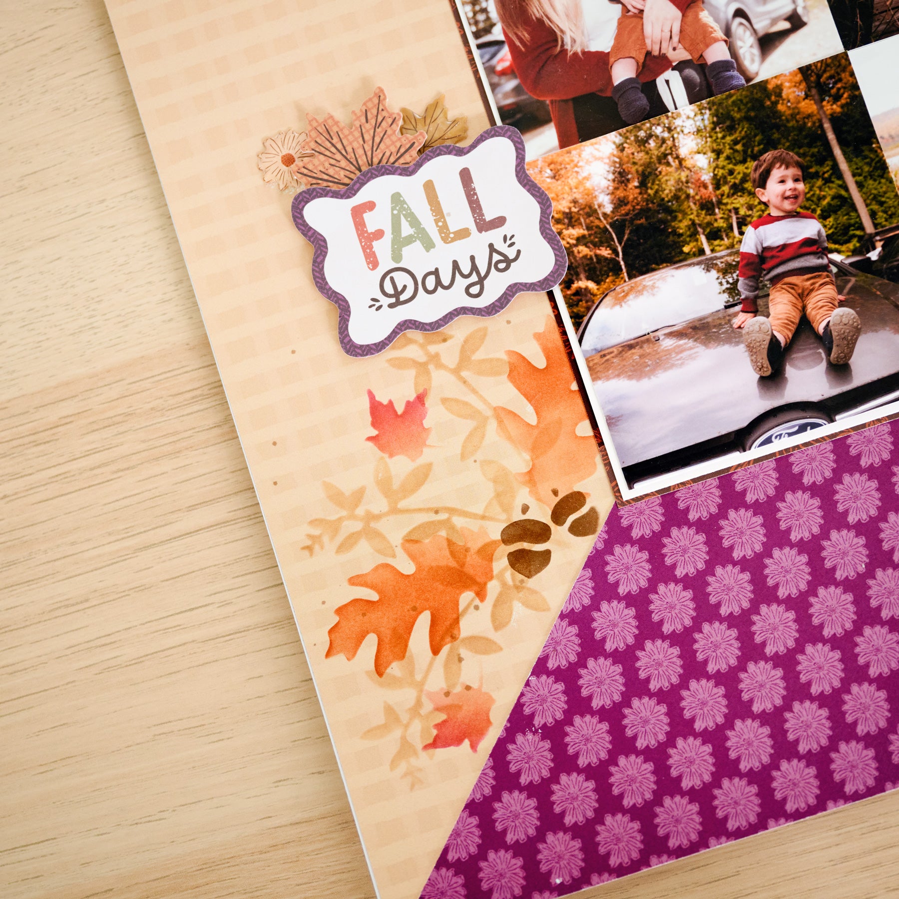 New Arrivals – Latest Scrapbooking & Memory Keeping Products by
