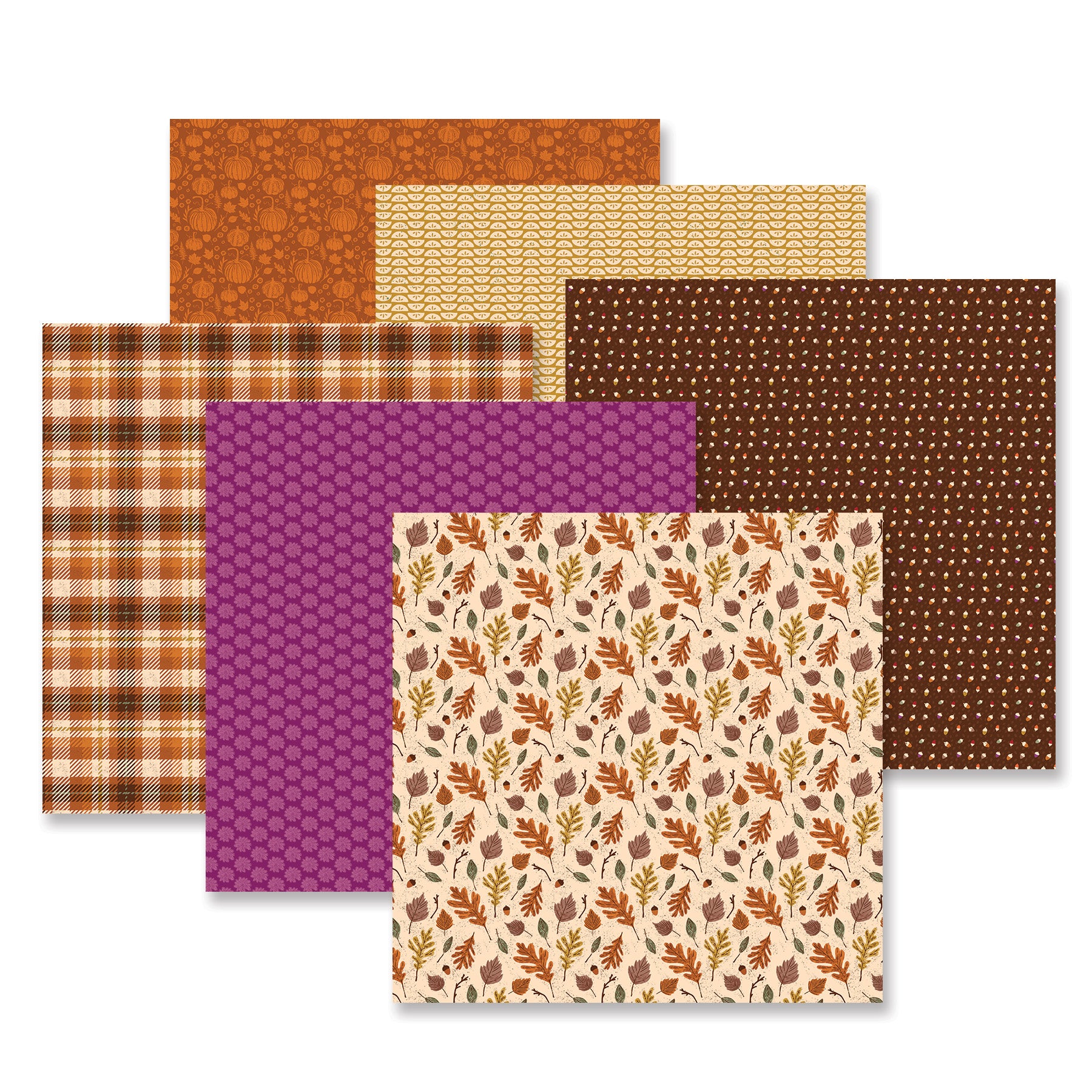 New Arrivals – Latest Scrapbooking & Memory Keeping Products by
