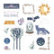 Spring Equinox Embellishments (38/pk)