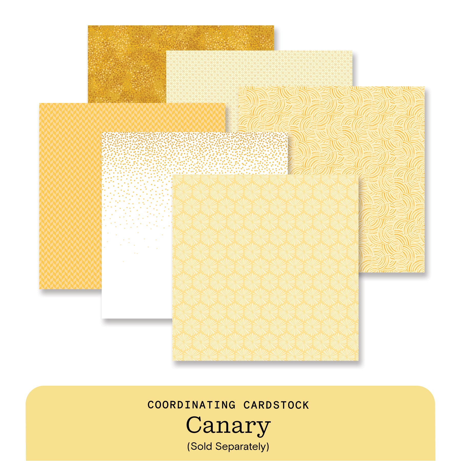 New Arrivals – Latest Scrapbooking & Memory Keeping Products by
