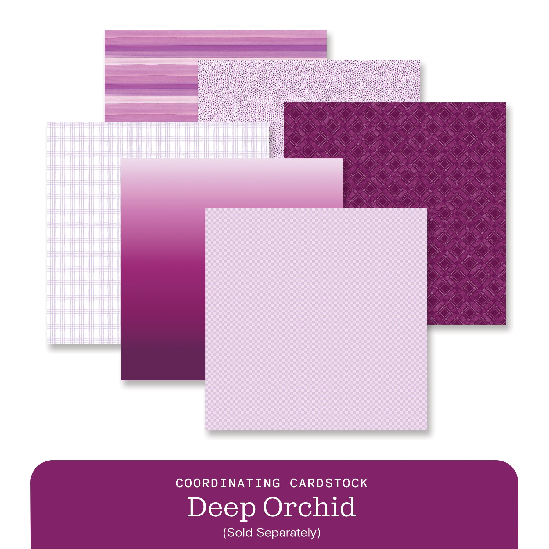 New Arrivals – Latest Scrapbooking & Memory Keeping Products by