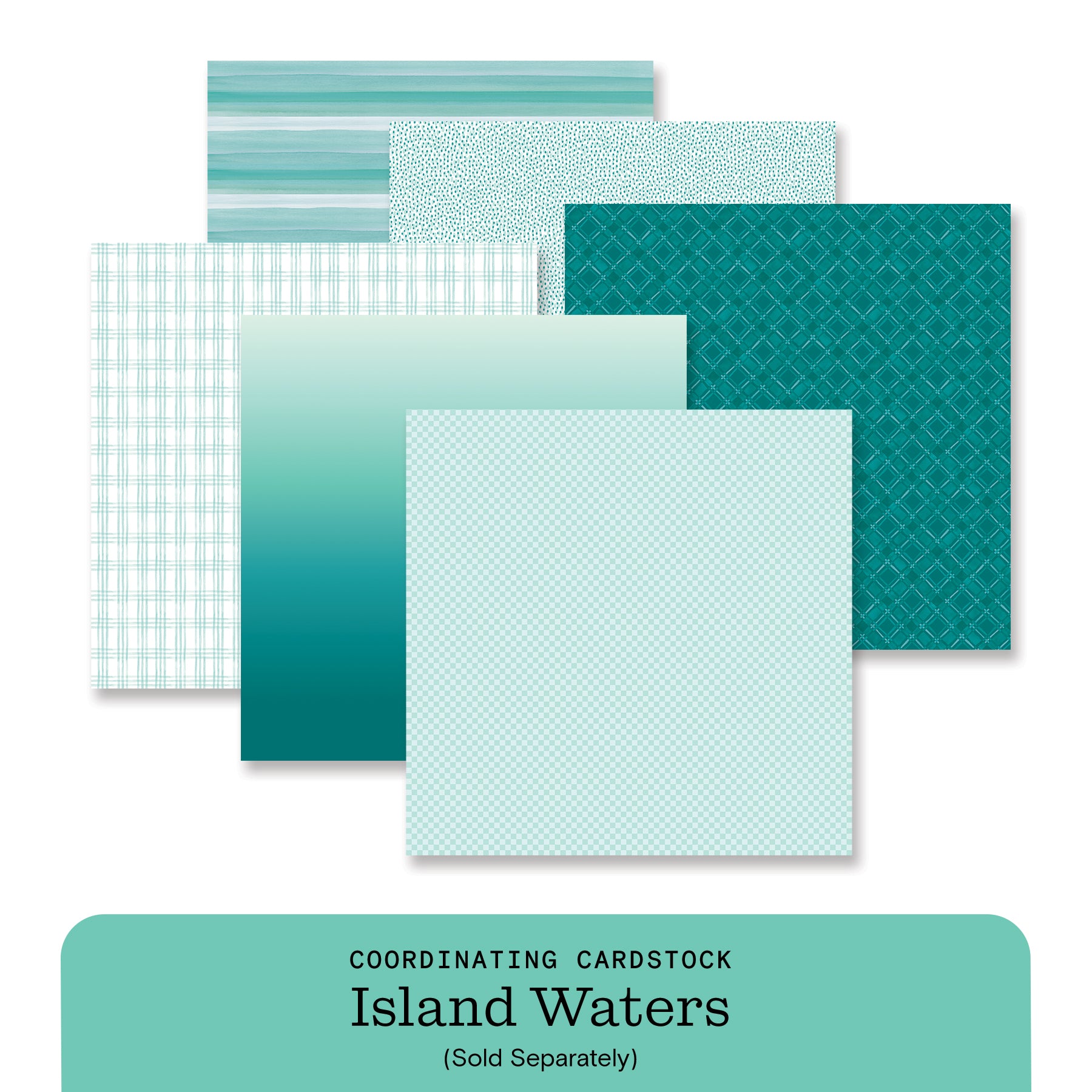 New Scrapbooking Products – Latest Arrivals | Creative Memories