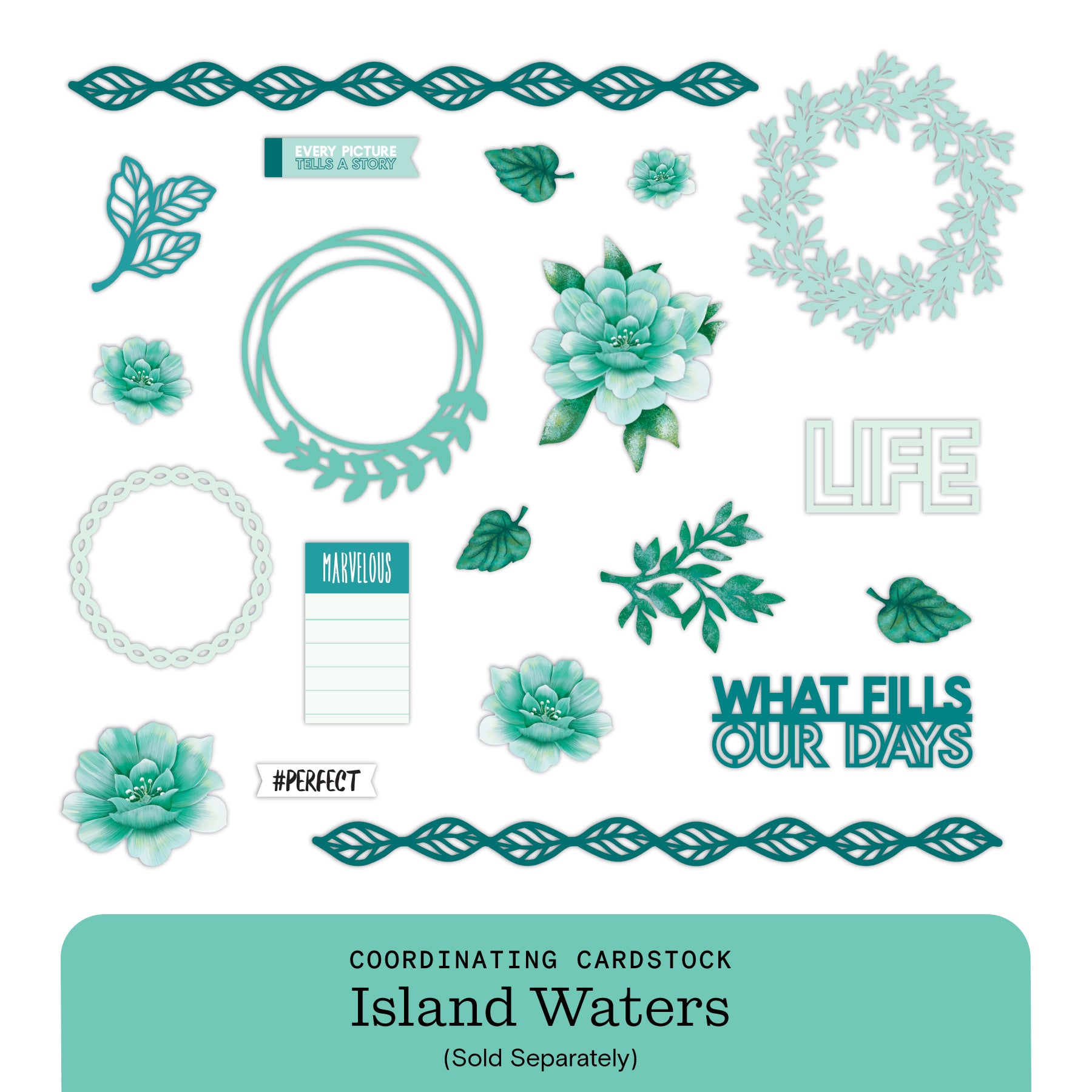 New Arrivals – Latest Scrapbooking & Memory Keeping Products by