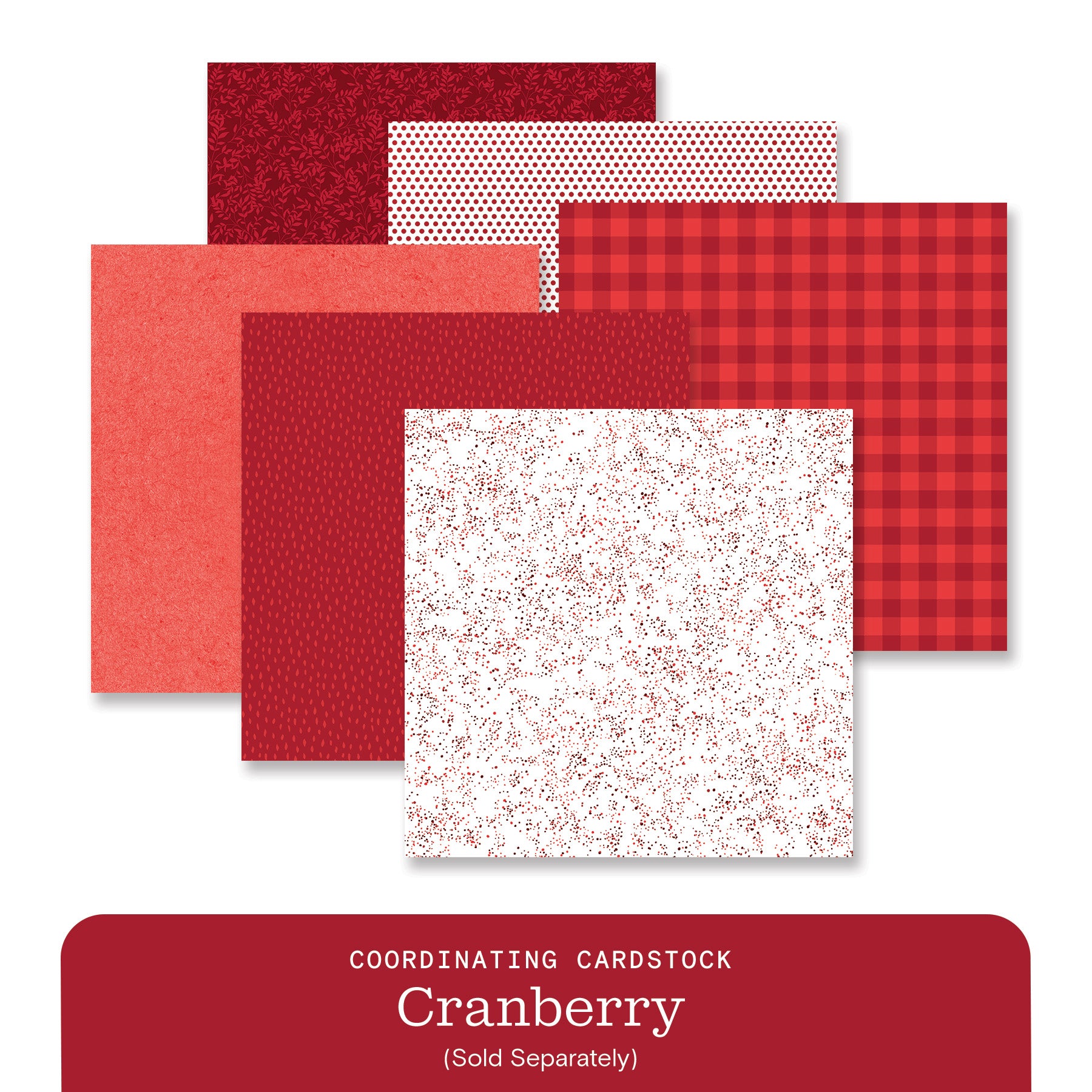 New Scrapbooking Products – Latest Arrivals | Creative Memories