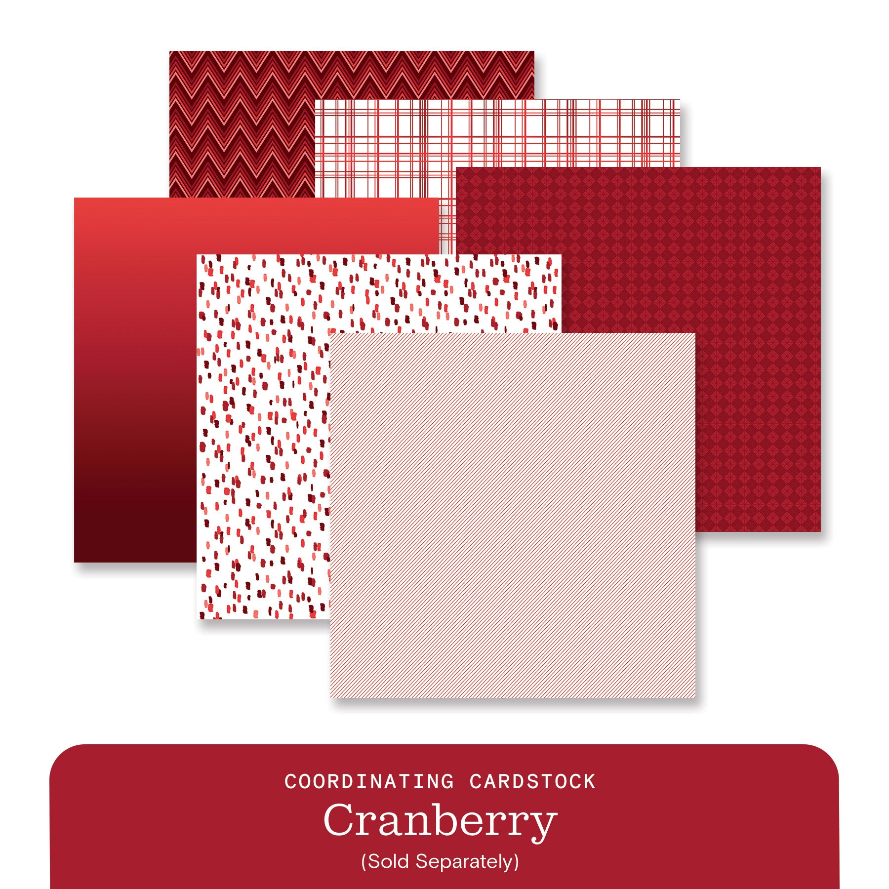 New Scrapbooking Products – Latest Arrivals | Creative Memories