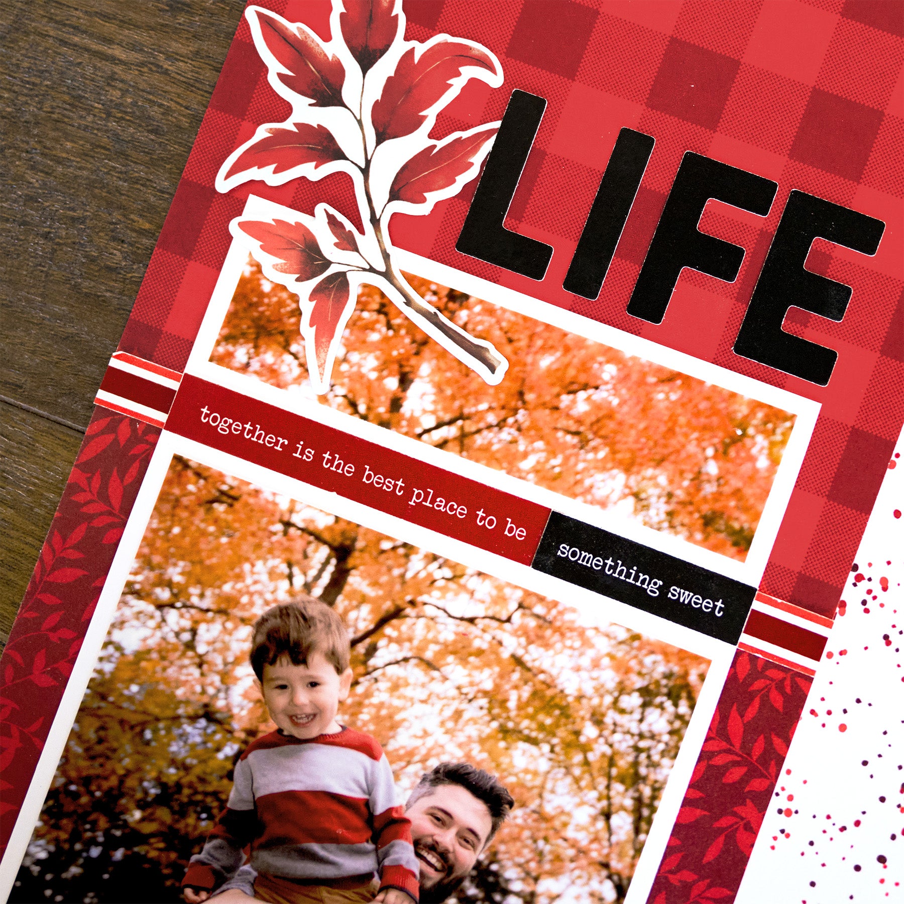 New Scrapbooking Products – Latest Arrivals | Creative Memories