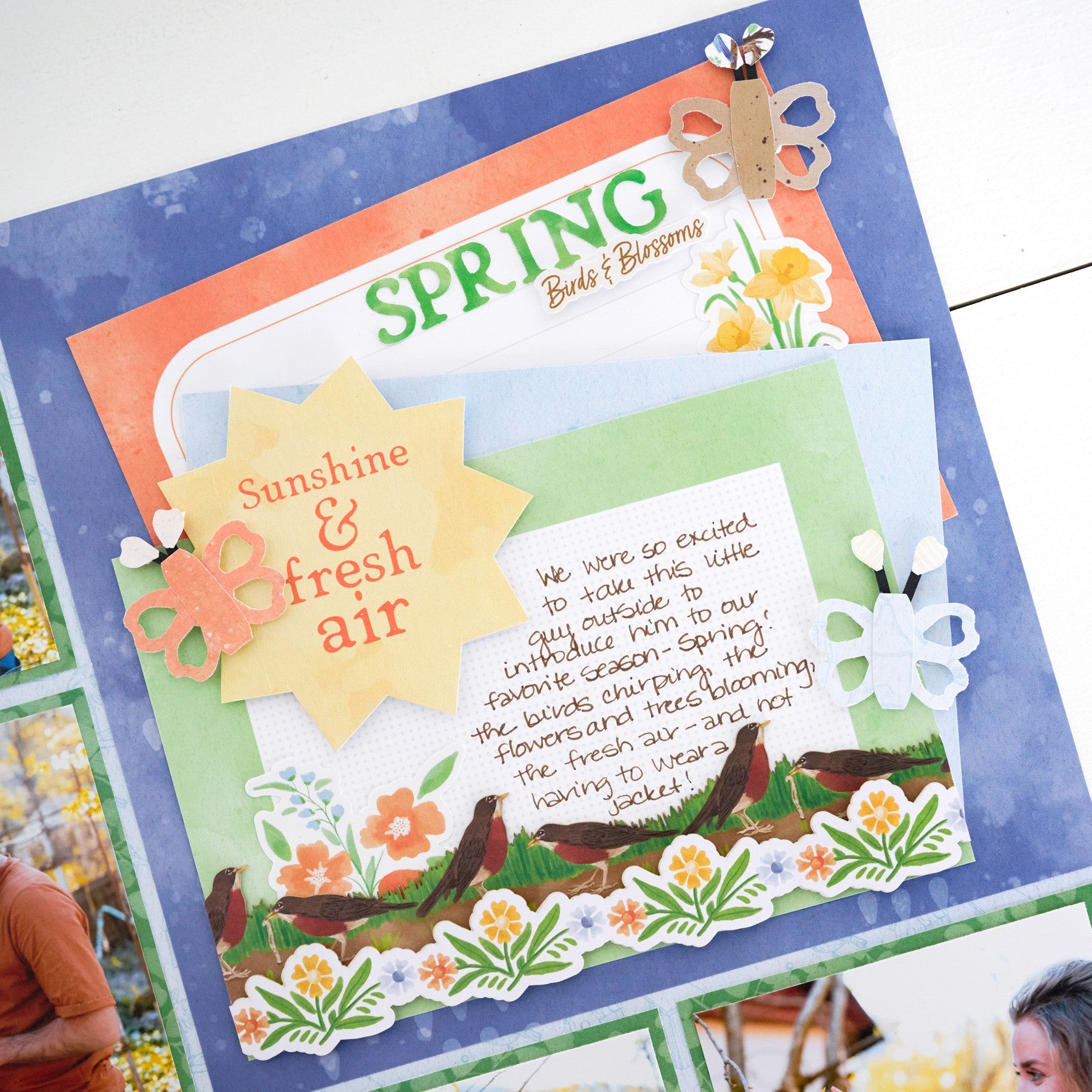 Deals – Scrapbook Supplies on Sale & Last Chance | Creative