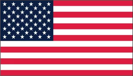 Flag United States Mini