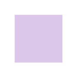 Creative Memories 12x12 Soft Pink Solid Cardstock Pack (10/pk) (CEDupd